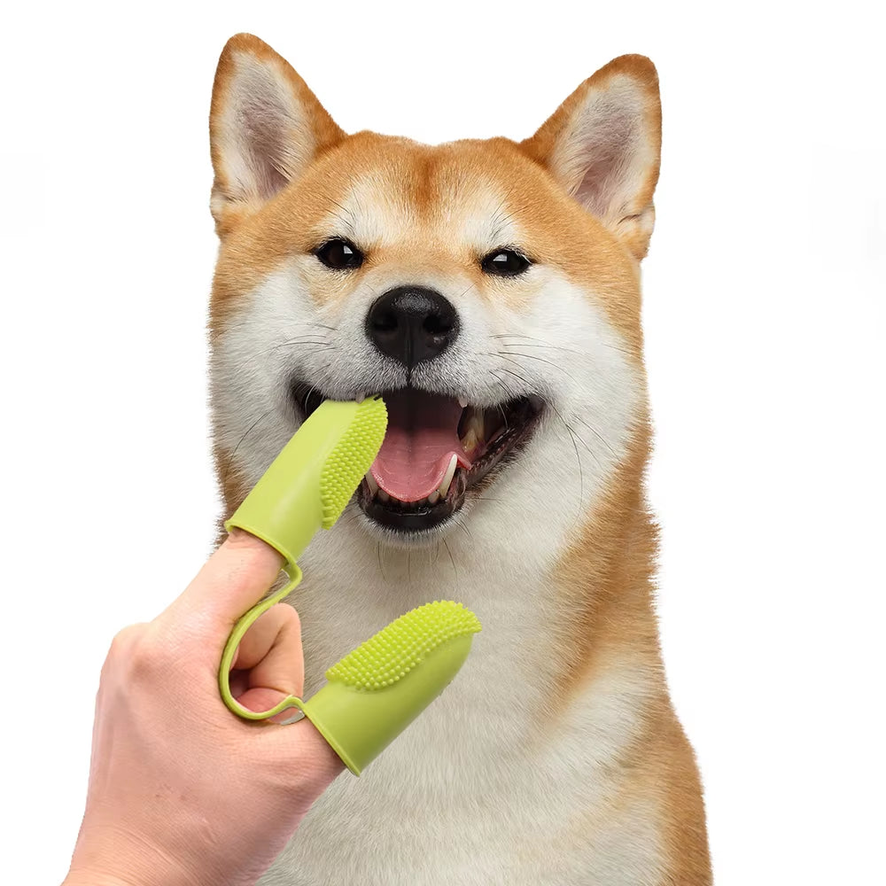 Dog Toothbrush, Cleaning Finger Toothbrush for Dogs, Food Grade Silicone Dog Finger Toothbrush for Dogs & Cats Dental Care ﻿